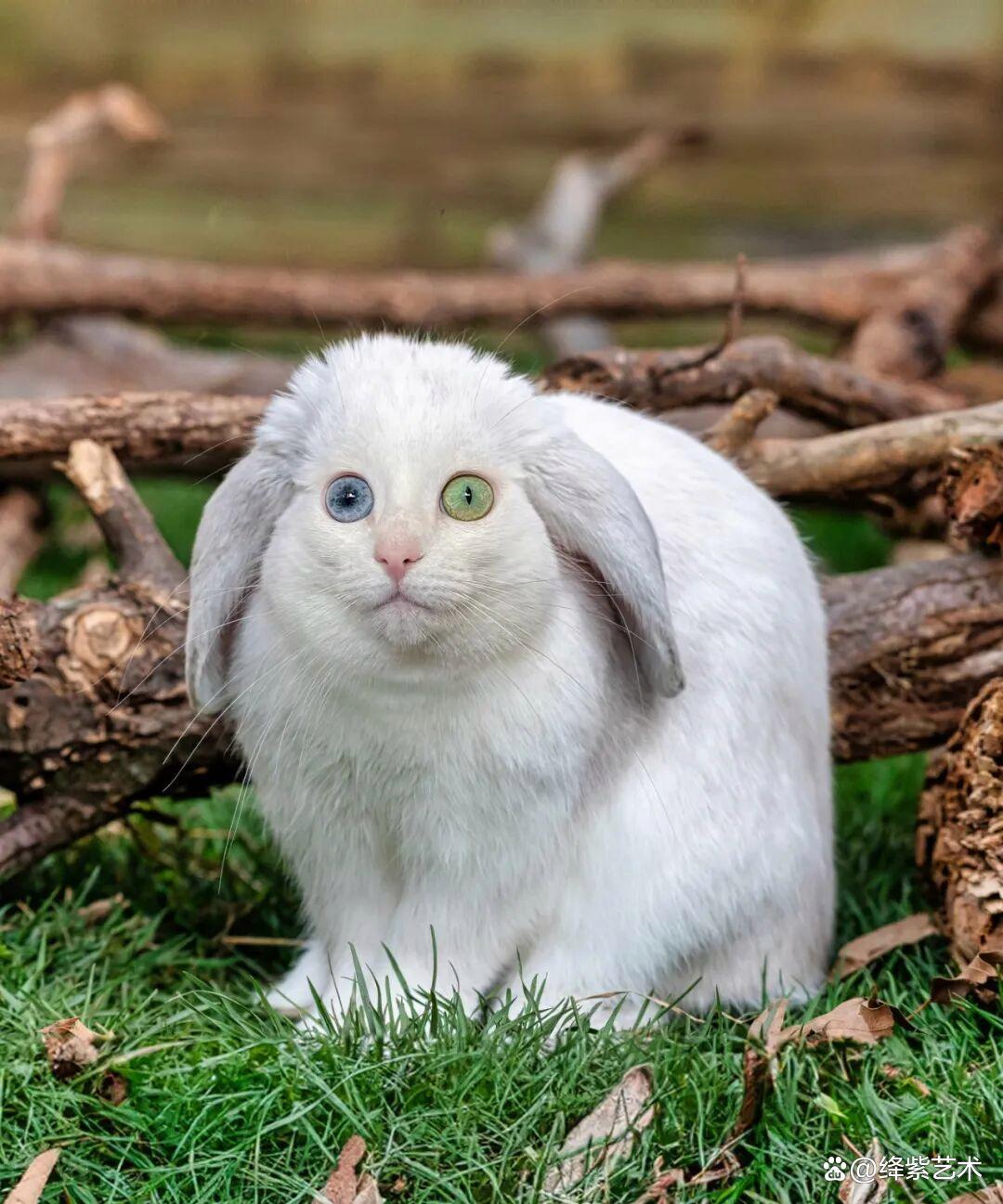 《3分钟搞定！服务器IP配置全攻略，新手也能轻松上手》